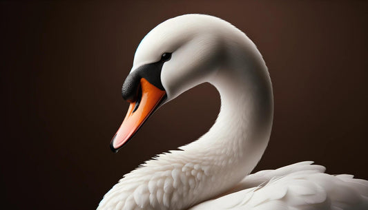 Bird Portraits 44