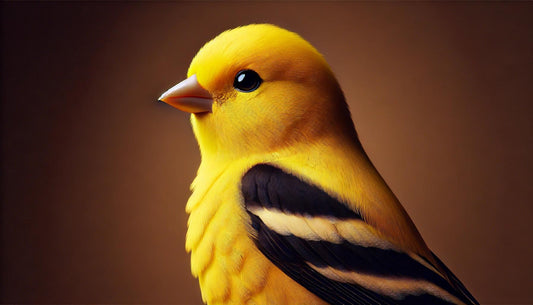 Bird Portraits 45